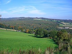 Beeley Wood from the SW.jpg