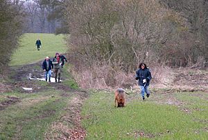 Bloodhound trials in UK