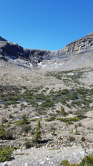 Bow Glacier Falls