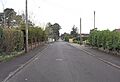 Braeside Road, St Leonards - geograph.org.uk - 2874347