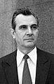 Branislav Ikonić (političar)