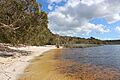 Brown Lake (North Stradbroke Island)