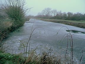 Coombe Hill Canal geograph 2190439.jpg