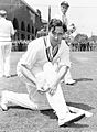 Denis Compton 1954
