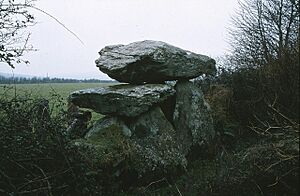 Dolmen at Knockeen, Co. Waterford - geograph.org.uk - 1013202