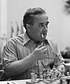 Efim Geller 1973