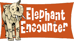 Elephant encounters