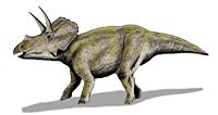 Eotriceratops BW.jpg