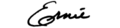 Ernie Fletcher Signature