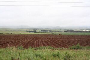 Farm in Mpumalanga