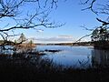 Great Quittacas Pond, Rochester MA