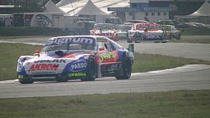 Guillermo Ortelli