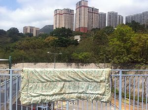 HK 華富邨 Wah Fu Estate 花園平台 platform view 薄扶林花園 Pok Fu Lam Gardens 置富花園 Chi Fu Fa Yuen Mar-2012