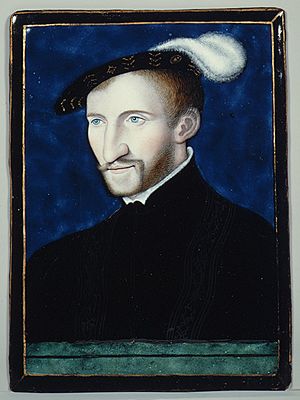 Henri d'Albret (1503–1555), King of Navarre