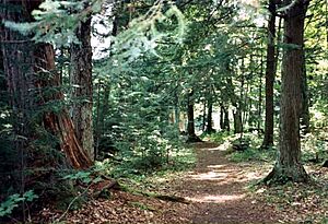 Hidden Lakes Trail