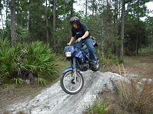 Hondanx250dunes