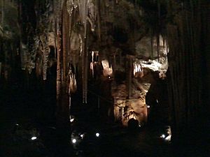 Inside of Tantanoola Cave (SA)(2013)