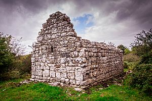 Killulta Church Ruins, Limerick