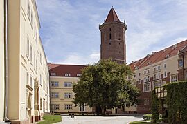 LEGNICA ZAMEK dziedziniec