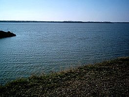 Lake Pat Cleburne.jpg