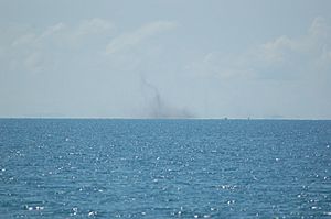 Lake flies, Lake Malawi (2499202894)