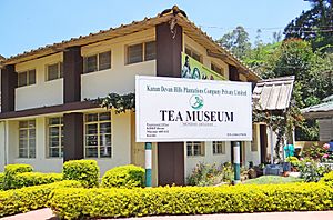 KDHP Tea Museum Facts for Kids
