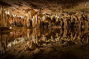 Luray Caverns, Dream Lake - mirror-lake of caverns (2015-05-09 14.03.28 by Stan Mouser)