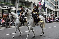 Mounted Police, London, 2012