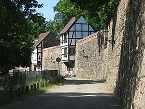 NB-Stadtmauer-und-Wiekhaus-02-06-2008-041