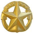 Navy CaS