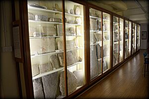 On either side of this small and narrow hall, there are displaying cases, containing fragments and slabs of stelae. This is seen immediately after you pass through the information desk