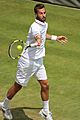 Paire WM13-013 (9465750925)