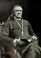 Portrait of Henry Benjamin Whipple
