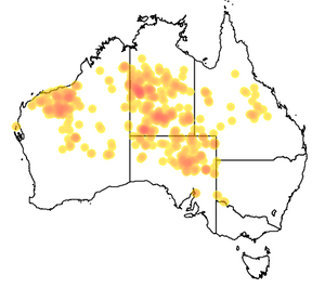 Map of Australia showing the distribution of Pseudomys desertor across various states.