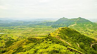 Purandar Landscape 3