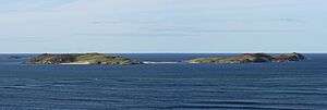 Rabbit Islands Scotland 2012