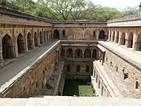 Rajon ki Baoli's baoli