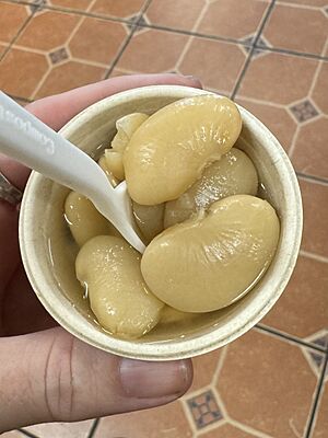 Rancho Gordo - October 2023 - Sarah Stierch 01