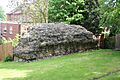 Roman Wall