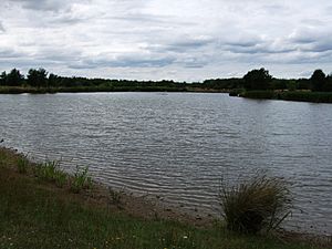Rushcliffe Country Park (3 August 2008).jpg