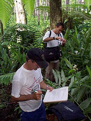 Sampling Flora