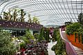 Singapore Gardens by the Bay Dome-01 (11663913363)