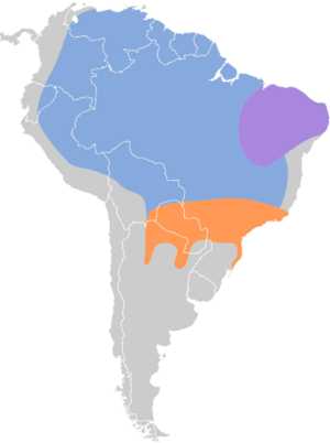 Sporophila lineola map.svg