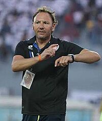 Stefano-wiki