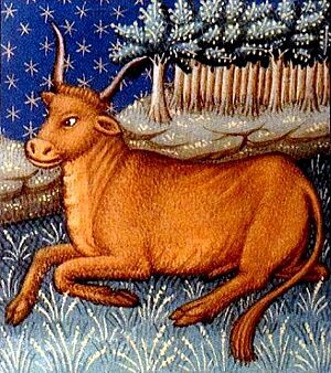 Taurus2