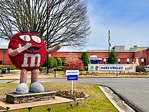 The Mars Wrigley manufacturing plant in Cleveland, Tennessee, produces M&Ms and Twix bars 01