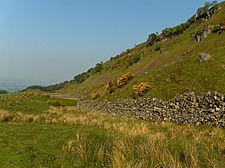 The craggy slope of Gargunnock Hills - geograph.org.uk - 184259
