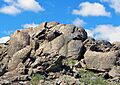 Tufa petroglyph site