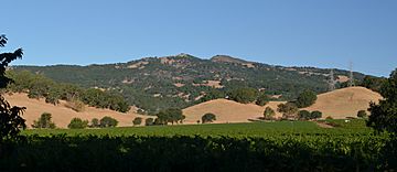 Twin Sisters from Suisun Valley.jpg