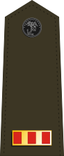US Marine W-2 shoulderboard